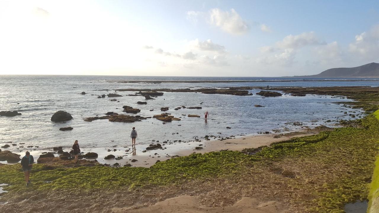 לאס פאלמס דה גראן קנאריה Vcv Marta Canteras Beach מראה חיצוני תמונה